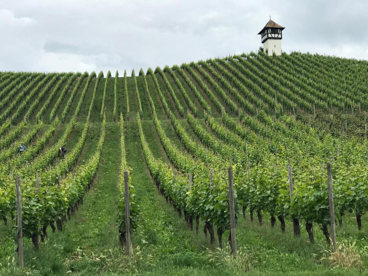 Apartment Lakewinds Meersburg